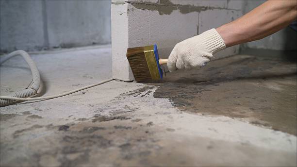 SJ Waterproofing Pros Waterproofing coverage map for Blountsville, AL and surrounding area